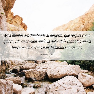 Picture 06 - Jeremías 2:24 RVA - Asna montés acostumbrada al desierto, que - Bible Verse Picture
