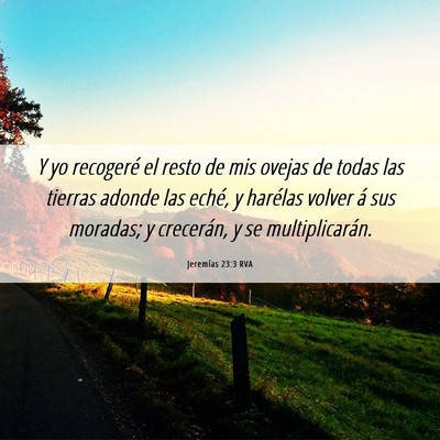 Picture 06 - Jeremías 23:3 RVA - Y yo recogeré el resto de mis ovejas de todas - Bible Verse Picture