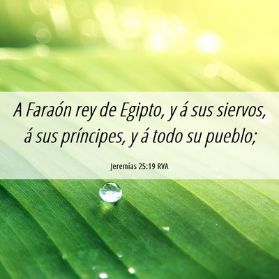 Picture 06 - Jeremías 25:19 RVA - A Faraón rey de Egipto, y á sus siervos, á sus - Bible Verse Picture