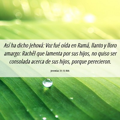 Picture 06 - Jeremías 31:15 RVA - Así ha dicho Jehová: Voz fué oída en Ramá, - Bible Verse Picture