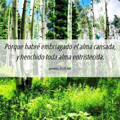 Picture 06 - Jeremías 31:25 RVA - Porque habré embriagado el alma cansada, y - Bible Verse Picture