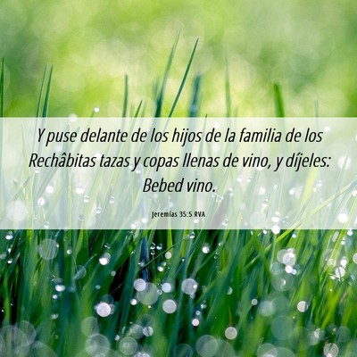 Picture 06 - Jeremías 35:5 RVA - Y puse delante de los hijos de la familia de los - Bible Verse Picture
