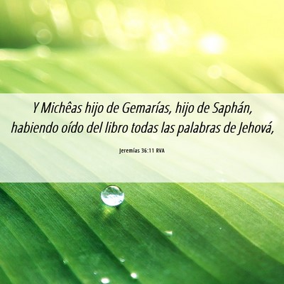 Picture 06 - Jeremías 36:11 RVA - Y Michêas hijo de Gemarías, hijo de Saphán, - Bible Verse Picture
