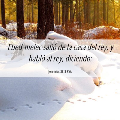 Picture 06 - Jeremías 38:8 RVA - Ebed-melec salió de la casa del rey, y habló al - Bible Verse Picture