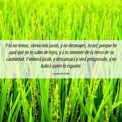 Picture 06 - Jeremías 46:27 RVA - Y tú no temas, siervo mío Jacob, y no desmayes, - Bible Verse Picture