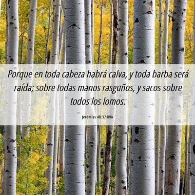Picture 06 - Jeremías 48:37 RVA - Porque en toda cabeza habrá calva, y toda barba - Bible Verse Picture