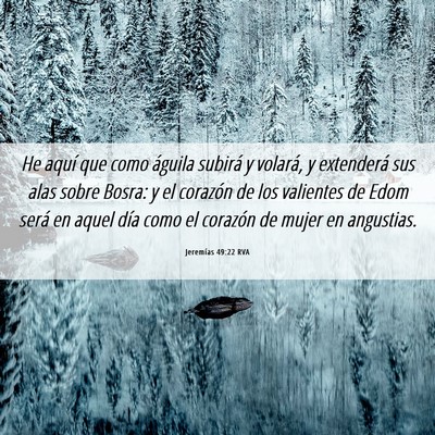 Picture 06 - Jeremías 49:22 RVA - He aquí que como águila subirá y volará, y - Bible Verse Picture