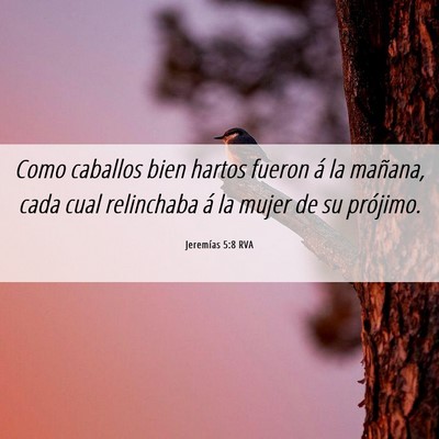 Picture 06 - Jeremías 5:8 RVA - Como caballos bien hartos fueron á la mañana, - Bible Verse Picture