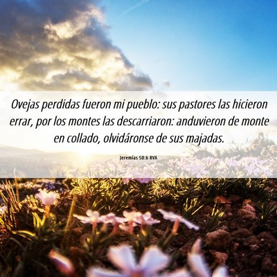 Picture 06 - Jeremías 50:6 RVA - Ovejas perdidas fueron mi pueblo: sus pastores - Bible Verse Picture