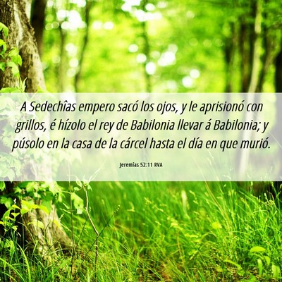 Picture 06 - Jeremías 52:11 RVA - A Sedechîas empero sacó los ojos, y le - Bible Verse Picture