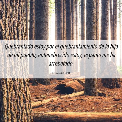 Picture 06 - Jeremías 8:21 RVA - Quebrantado estoy por el quebrantamiento de la - Bible Verse Picture