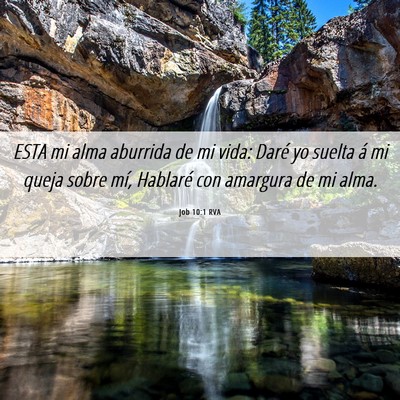 Picture 06 - Job 10:1 RVA - ESTA mi alma aburrida de mi vida: Daré yo suelta - Bible Verse Picture