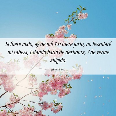 Picture 06 - Job 10:15 RVA - Si fuere malo, ­ay de mí! Y si fuere justo, no - Bible Verse Picture