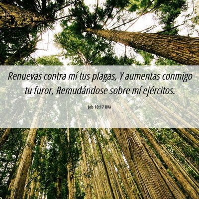 Picture 06 - Job 10:17 RVA - Renuevas contra mí tus plagas, Y aumentas - Bible Verse Picture