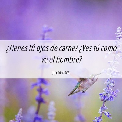 Picture 06 - Job 10:4 RVA - ¿Tienes tú ojos de carne? ¿Ves tú como ve el - Bible Verse Picture