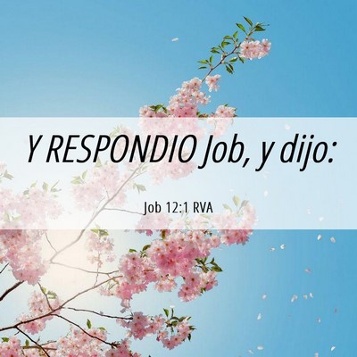 Picture 06 - Job 12:1 RVA - Y RESPONDIO Job, y - Bible Verse Picture