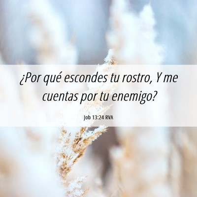 Picture 06 - Job 13:24 RVA - ¿Por qué escondes tu rostro, Y me cuentas por - Bible Verse Picture