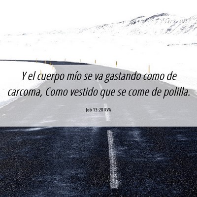 Picture 06 - Job 13:28 RVA - Y el cuerpo mío se va gastando como de carcoma, - Bible Verse Picture