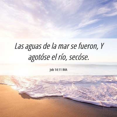 Picture 06 - Job 14:11 RVA - Las aguas de la mar se fueron, Y agotóse el - Bible Verse Picture