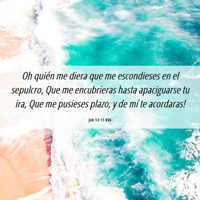 Picture 06 - Job 14:13 RVA - Oh quién me diera que me escondieses en el - Bible Verse Picture