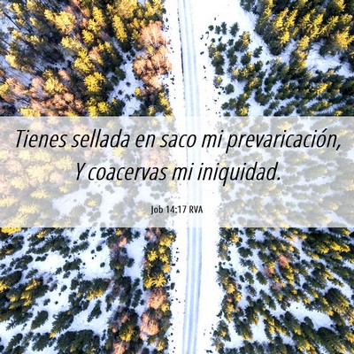 Picture 06 - Job 14:17 RVA - Tienes sellada en saco mi prevaricación, Y - Bible Verse Picture