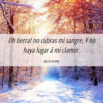 Picture 06 - Job 16:18 RVA - Oh tierra! no cubras mi sangre, Y no haya lugar - Bible Verse Picture