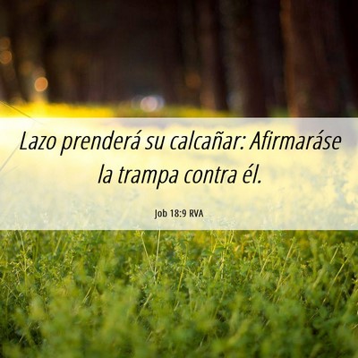 Picture 06 - Job 18:9 RVA - Lazo prenderá su calcañar: Afirmaráse la - Bible Verse Picture