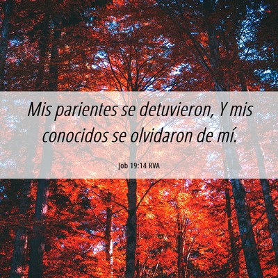Picture 06 - Job 19:14 RVA - Mis parientes se detuvieron, Y mis conocidos se - Bible Verse Picture