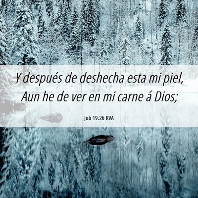 Picture 06 - Job 19:26 RVA - Y después de deshecha esta mi piel, Aun he de - Bible Verse Picture
