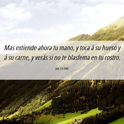 Picture 06 - Job 2:5 RVA - Mas extiende ahora tu mano, y toca á su hueso y - Bible Verse Picture