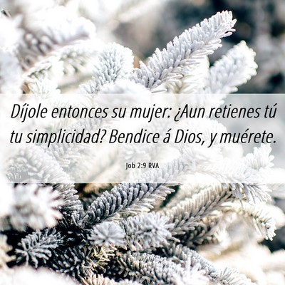 Picture 06 - Job 2:9 RVA - Díjole entonces su mujer: ¿Aun retienes tú tu - Bible Verse Picture