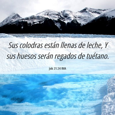 Picture 06 - Job 21:24 RVA - Sus colodras están llenas de leche, Y sus huesos - Bible Verse Picture