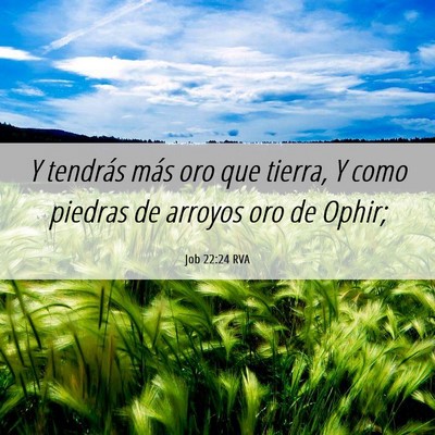 Picture 06 - Job 22:24 RVA - Y tendrás más oro que tierra, Y como piedras de - Bible Verse Picture