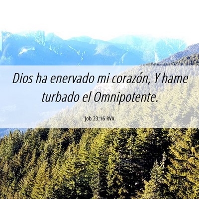 Picture 06 - Job 23:16 RVA - Dios ha enervado mi corazón, Y hame turbado el - Bible Verse Picture
