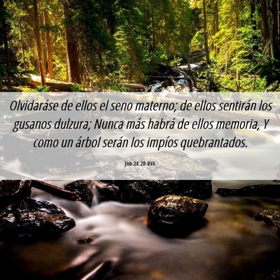 Picture 06 - Job 24:20 RVA - Olvidaráse de ellos el seno materno; de ellos - Bible Verse Picture