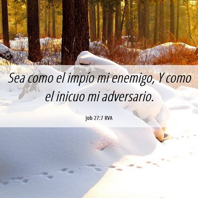 Picture 06 - Job 27:7 RVA - Sea como el impío mi enemigo, Y como el inicuo - Bible Verse Picture
