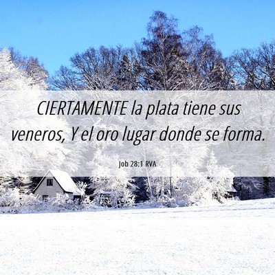 Picture 06 - Job 28:1 RVA - CIERTAMENTE la plata tiene sus veneros, Y el oro - Bible Verse Picture