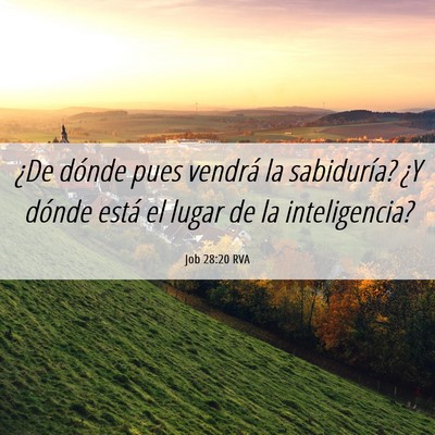 Picture 06 - Job 28:20 RVA - ¿De dónde pues vendrá la sabiduría? ¿Y - Bible Verse Picture