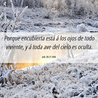 Picture 06 - Job 28:21 RVA - Porque encubierta está á los ojos de todo - Bible Verse Picture