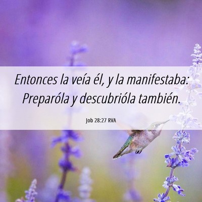 Picture 06 - Job 28:27 RVA - Entonces la veía él, y la manifestaba: - Bible Verse Picture