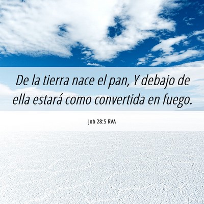 Picture 06 - Job 28:5 RVA - De la tierra nace el pan, Y debajo de ella - Bible Verse Picture