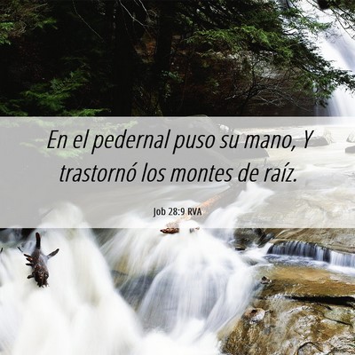 Picture 06 - Job 28:9 RVA - En el pedernal puso su mano, Y trastornó los - Bible Verse Picture