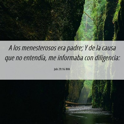 Picture 06 - Job 29:16 RVA - A los menesterosos era padre; Y de la causa que - Bible Verse Picture