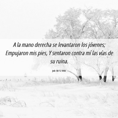 Picture 06 - Job 30:12 RVA - A la mano derecha se levantaron los jóvenes; - Bible Verse Picture