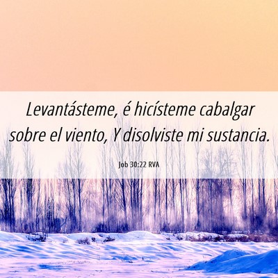 Picture 06 - Job 30:22 RVA - Levantásteme, é hicísteme cabalgar sobre el - Bible Verse Picture