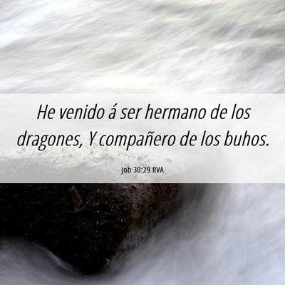 Picture 06 - Job 30:29 RVA - He venido á ser hermano de los dragones, Y - Bible Verse Picture