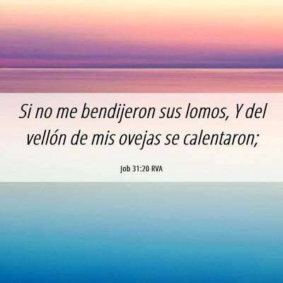 Picture 06 - Job 31:20 RVA - Si no me bendijeron sus lomos, Y del vellón de - Bible Verse Picture