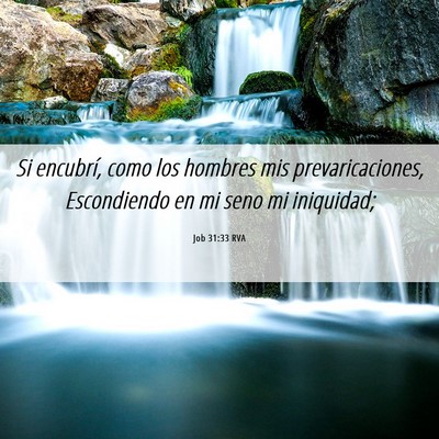 Picture 06 - Job 31:33 RVA - Si encubrí, como los hombres mis - Bible Verse Picture