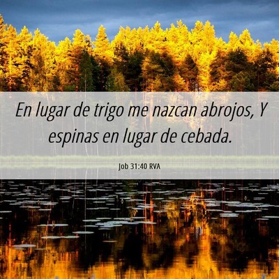 Picture 06 - Job 31:40 RVA - En lugar de trigo me nazcan abrojos, Y espinas en - Bible Verse Picture