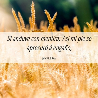 Picture 06 - Job 31:5 RVA - Si anduve con mentira, Y si mi pie se apresuró - Bible Verse Picture